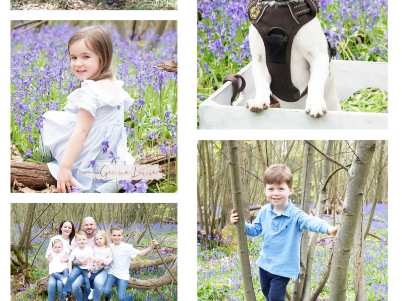 Family Photographer Colchester - Offering Maternity, Newborn, Child, Family and Cake Smashes!